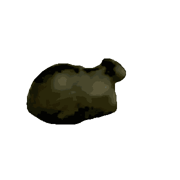 Meme Cat Spinning